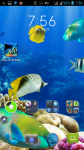 Fish Live HD Wallpaper screenshot 4/4