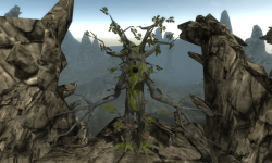 Oak Tree Simulation 3D screenshot 5/6