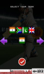 Cricket Master Blaster - Free screenshot 2/4