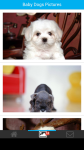 Baby Dogs Pictures screenshot 2/6