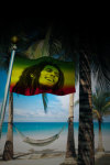 Marley Flag Live Wallpaper screenshot 1/3