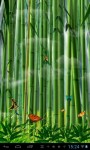 Butterflies in the bamboo fore lwp screenshot 1/4