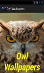 Owl Wallpapers App screenshot 1/4