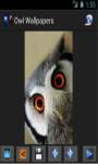 Owl Wallpapers App screenshot 2/4