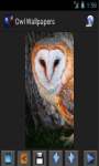 Owl Wallpapers App screenshot 4/4