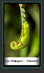 Live Wallpapers – Chameleon screenshot 1/6