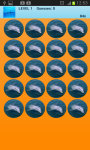 Dolphins Memory Game Free screenshot 1/2