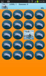 Dolphins Memory Game Free screenshot 2/2
