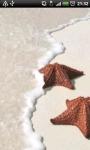 Starfish Beach Animaated screenshot 1/1