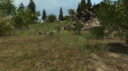 Survival Time Forest great screenshot 4/6
