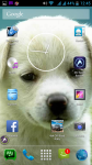 Cute Dog Pics screenshot 6/6