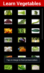 Learn Vegetables screenshot 2/5