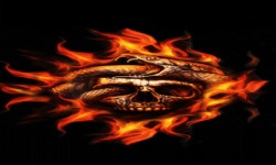 Fire Skull Snake Live Wallpaper screenshot 2/3