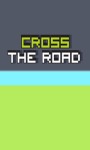 Cross The Roads screenshot 1/5