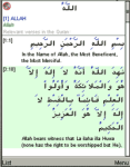 Allahs 99 Beautiful Names Asma ul Husna screenshot 1/1