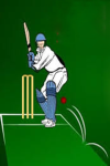 Rules to Play Cricket  screenshot 2/4