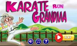 Karate Run Grandma screenshot 1/4