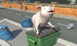crazy piggies 3d simulator screenshot 1/5