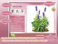 Baby Plants Flowers 2 screenshot 3/5
