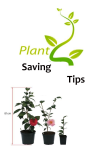 Plant Saving Tips screenshot 1/1