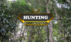 Hunting: Jungle animals screenshot 1/6