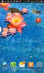 3D Goldfish Pond Wallpaper screenshot 4/4
