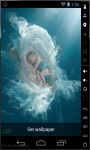 Nest Of Baby Live Wallpaper screenshot 1/2