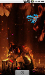 Cute Kitten Magic Night Live Wallpaper screenshot 3/4