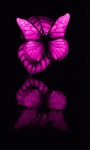 Purple Butterfly LWP screenshot 1/3