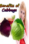 Benefits of Cabbage  screenshot 1/3