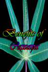 Benefits of Cassava screenshot 1/4