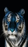 Lighting Tiger Live Wallpaper screenshot 3/3