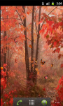 Red Forest Cool Live Wallpaper screenshot 2/5