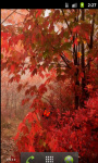 Red Forest Cool Live Wallpaper screenshot 3/5