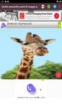 Giraffe around the world 4k images and background  screenshot 1/6