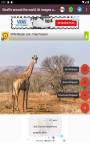 Giraffe around the world 4k images and background  screenshot 4/6