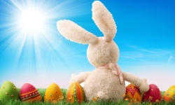 Bunny and Eggs Jigsaw Puzzle screenshot 3/4