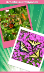 New Butterflies Live Wallpapers screenshot 1/6