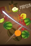 Fruit Ninja HD screenshot 1/1