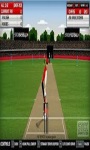 Free Cricket 3D screenshot 1/1