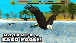 Eagle Simulator personal screenshot 1/6