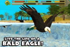 Eagle Simulator personal screenshot 6/6