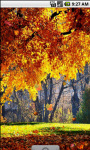 Autumn Forest Cool Live Wallpaper screenshot 1/4