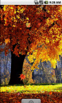 Autumn Forest Cool Live Wallpaper screenshot 2/4