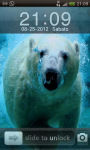 iPhone Polar Bear GoLocker XY screenshot 1/4
