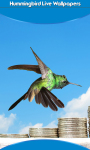 Free Hummingbird Live Wallpapers screenshot 1/6