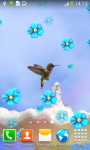 Free Hummingbird Live Wallpapers screenshot 2/6