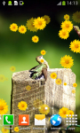 Free Hummingbird Live Wallpapers screenshot 3/6