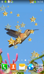 Free Hummingbird Live Wallpapers screenshot 5/6