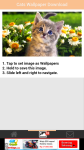 Cats Wallpaper Download screenshot 3/6